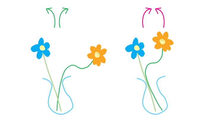 Bloemen moet in een vaas naar de buitenkant groeien.